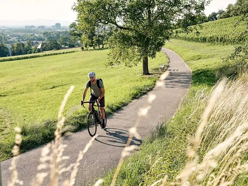 JobRadler auf Fahrradweg im Grünen am Schlierberg