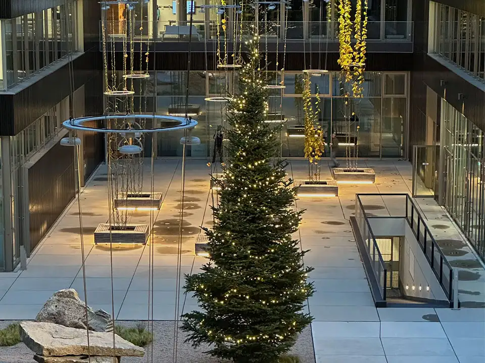 Weihnachtsbaum auf dem JobRad-Campus